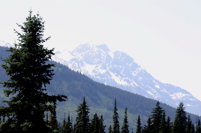 062004 P Rupert to Hyder AK (10159)